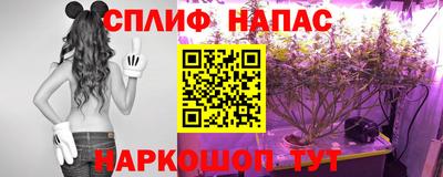 spice Донецк